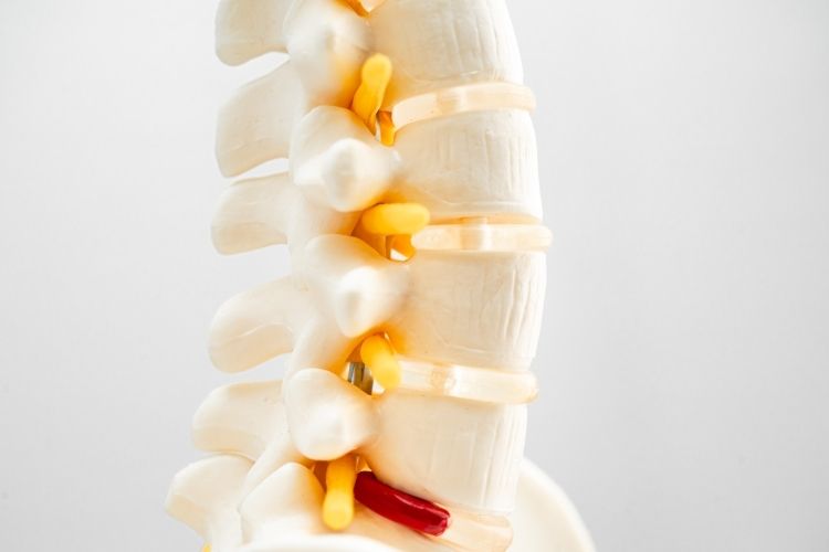 The Connection Between Upper Cervical Chiropractic and Headache Support ...