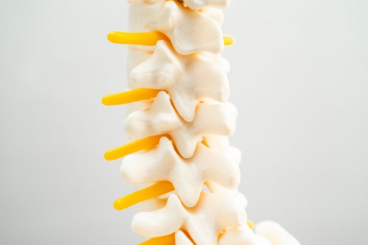 Beyond Adjustments: Strive Spinal Health's Comprehensive Approach