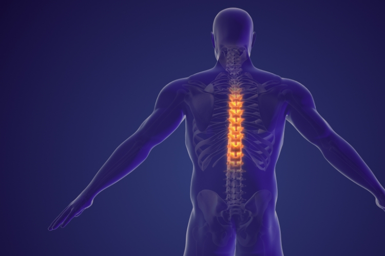 The Process of Upper Cervical Checkups at Strive Spinal Health