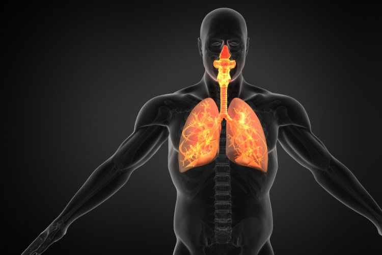 Exploring the Link Between Upper Cervical Health and Respiratory Function